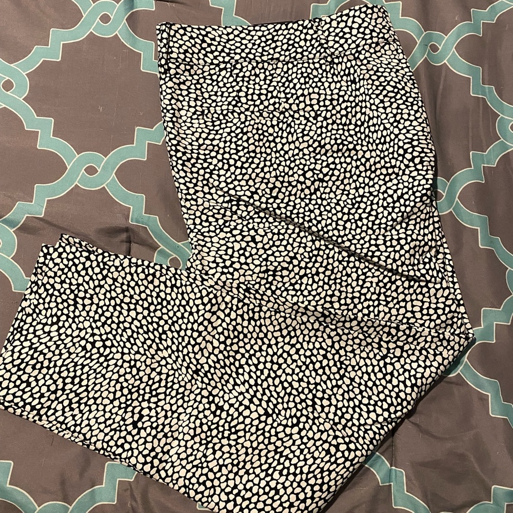 Lane Bryant “The Sophie” dress pants